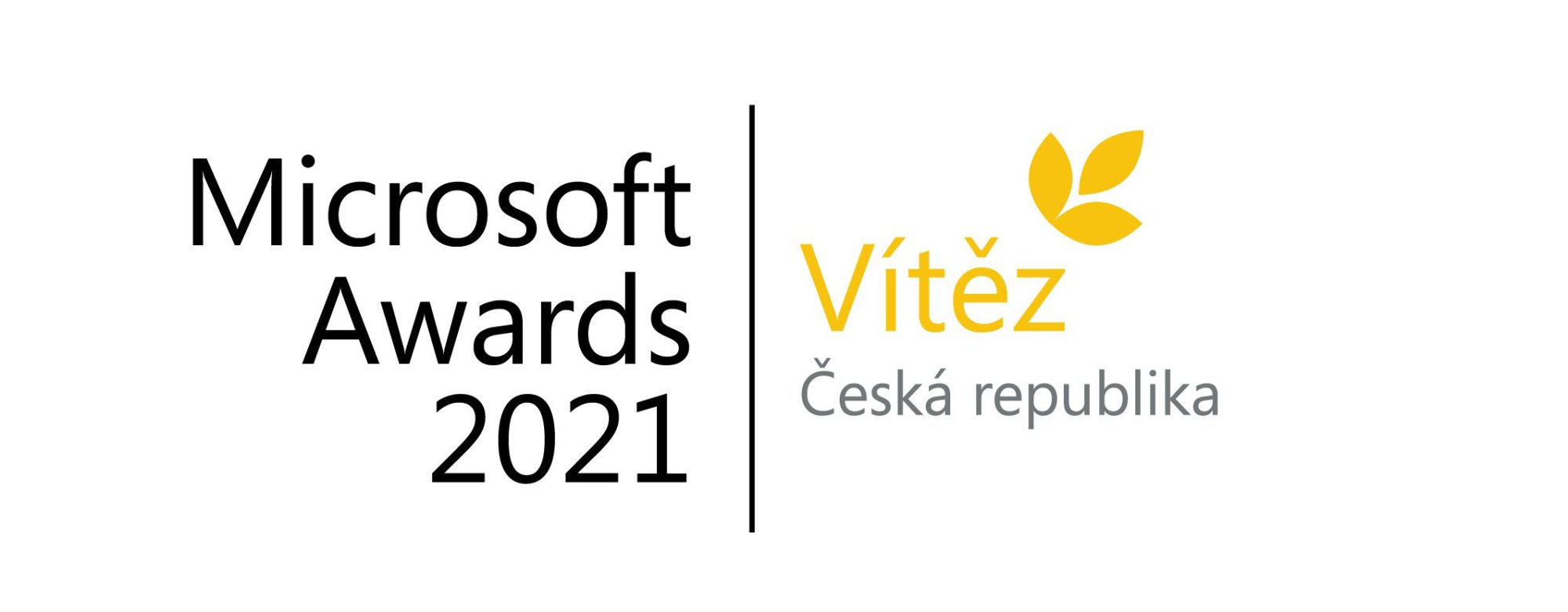 Microsoft partner